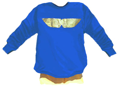 Winged Disc Sweatshirt